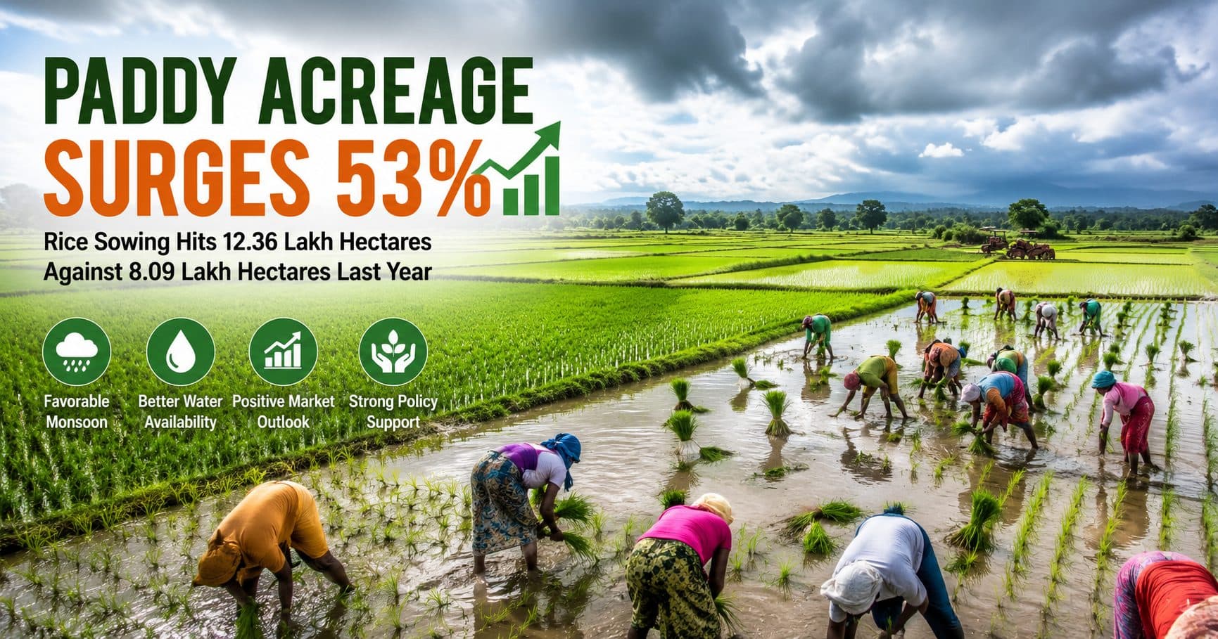 Paddy Acreage Surges 53%: What Record Rice Sowing Means for India's Agriculture and Farmers