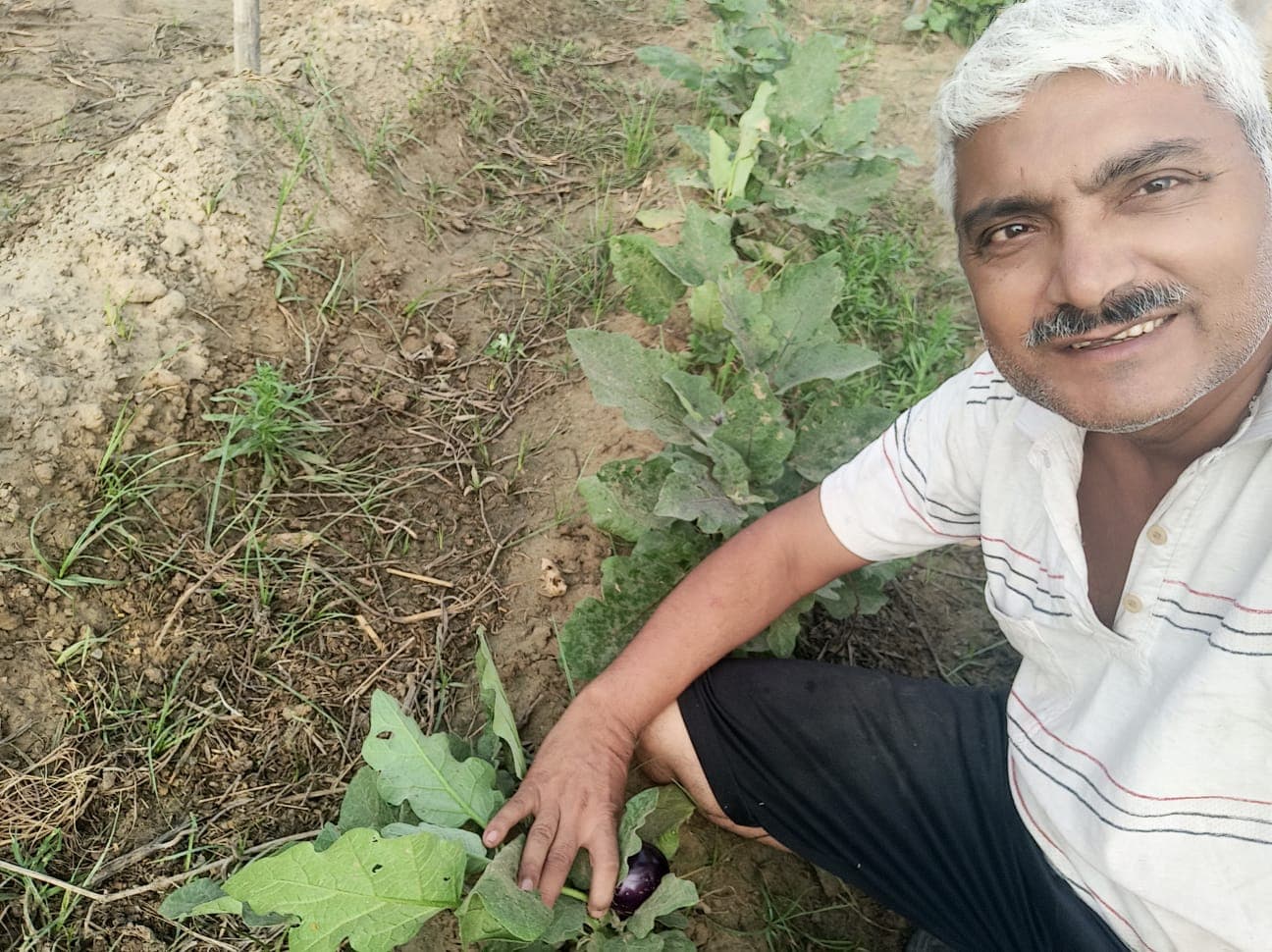 Abhyuday Organic Farm — photo 2
