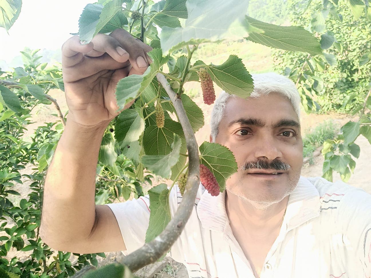 Abhyuday Organic Farm — photo 3