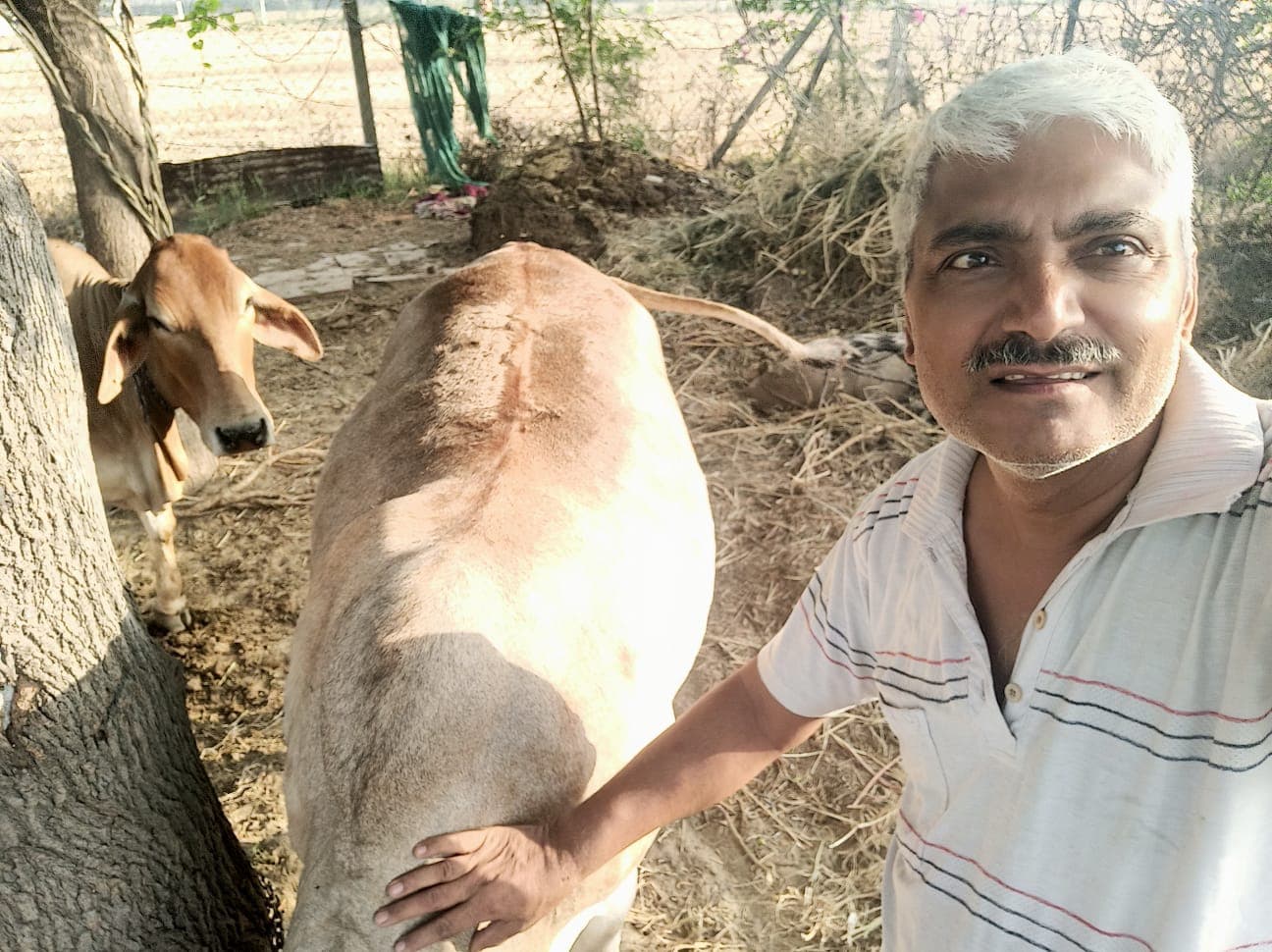 Abhyuday Organic Farm — photo 4