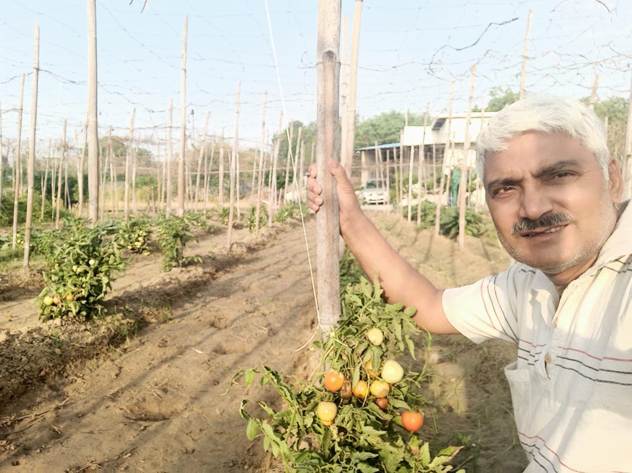 Abhyuday Organic Farm — photo 5