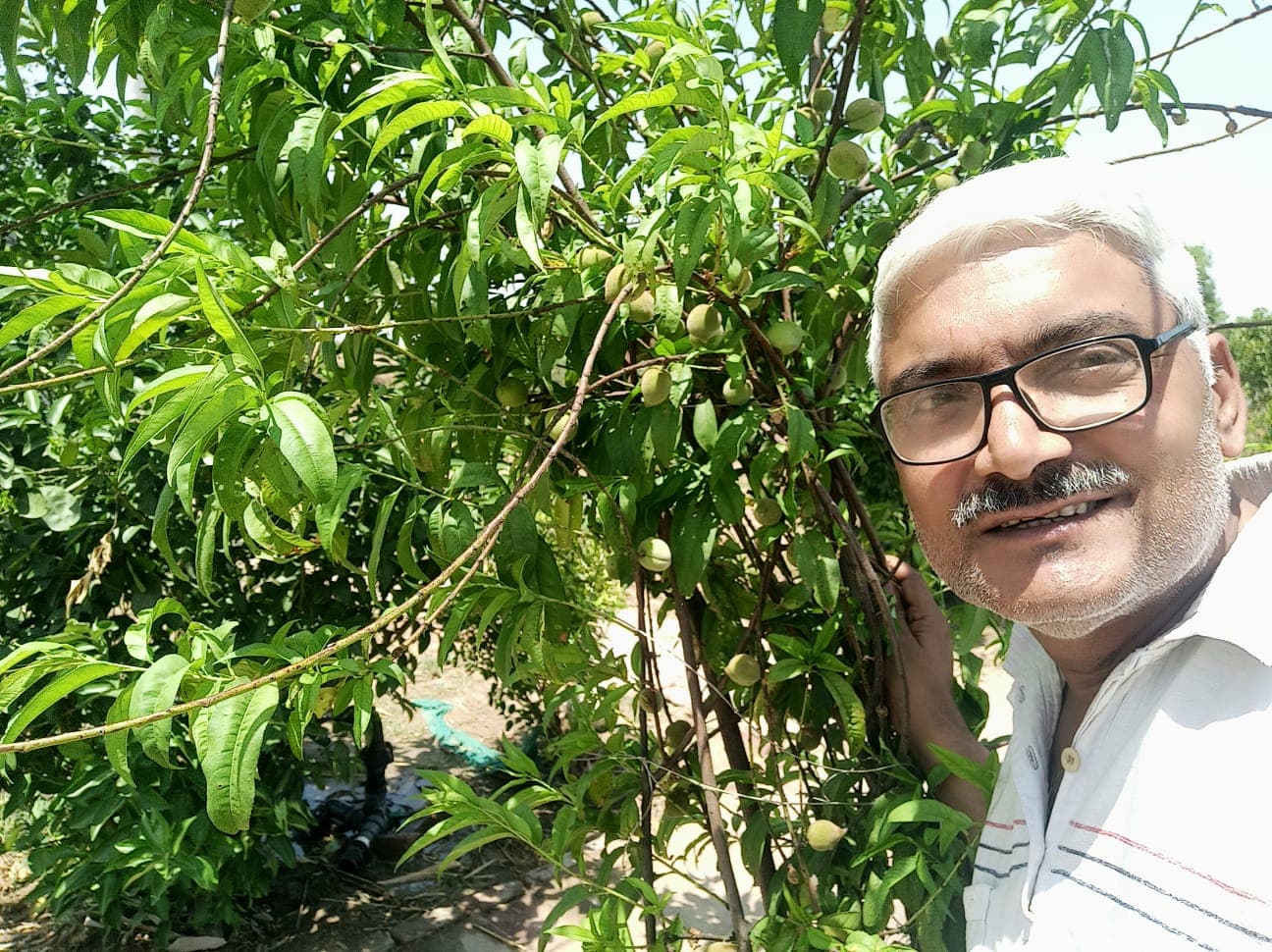 Abhyuday Organic Farm — photo 8