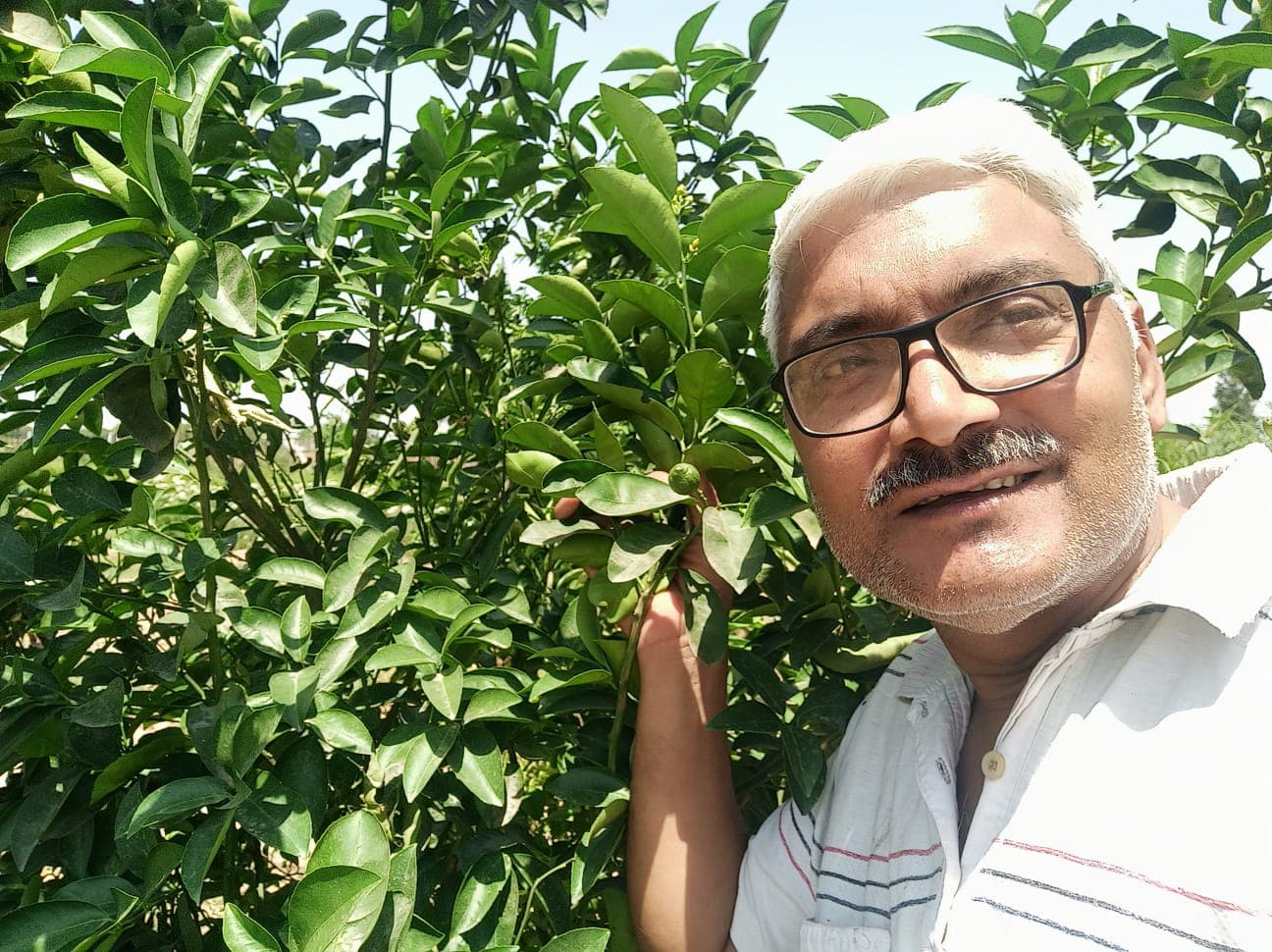 Abhyuday Organic Farm — photo 9