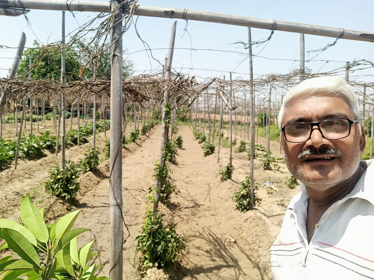 Abhyuday Organic Farm — photo 10