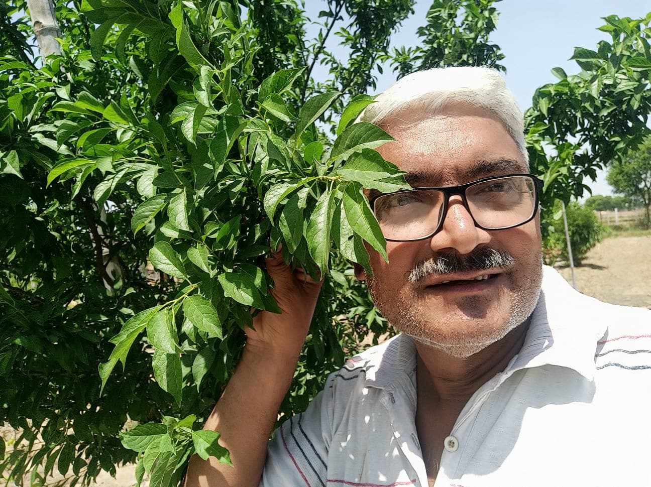 Abhyuday Organic Farm — photo 11