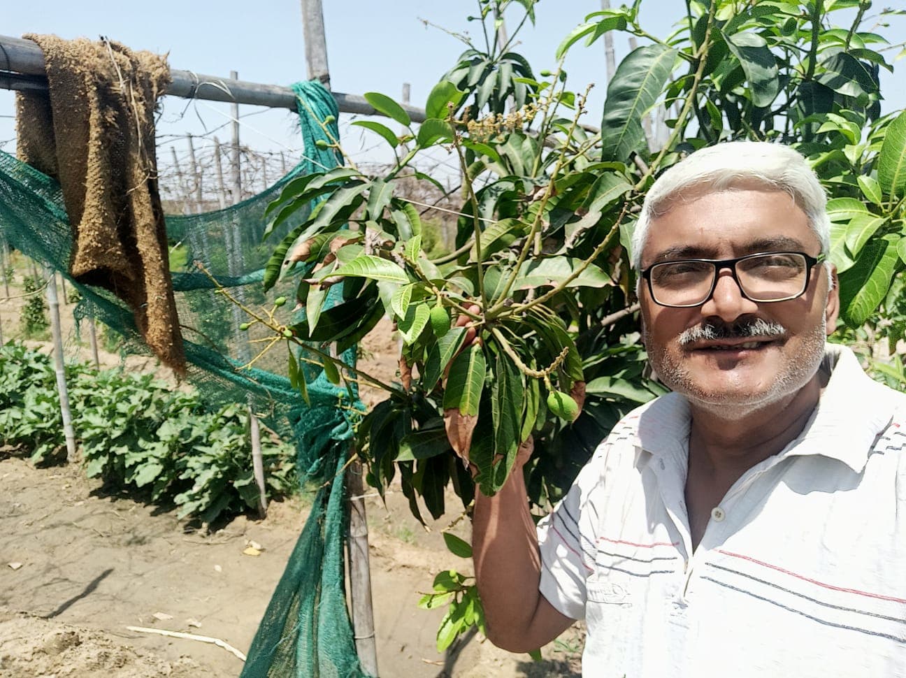 Abhyuday Organic Farm — photo 12