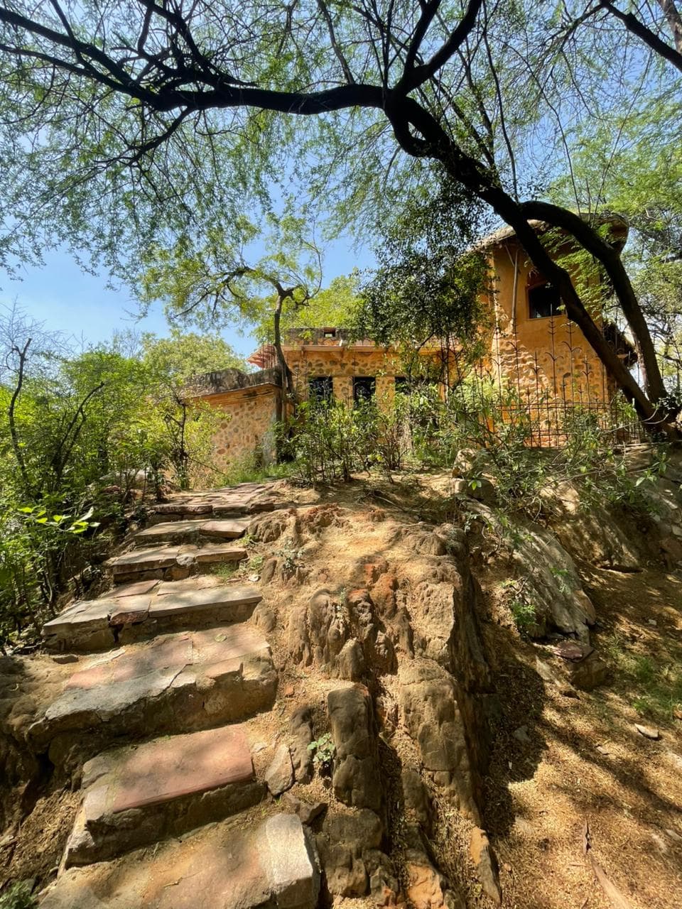 Van Bhoj: The Mud House in Delhi NCR — photo 5