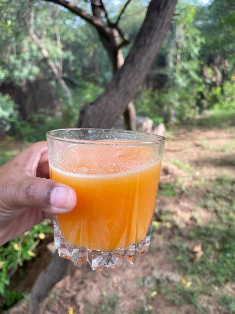 Van Bhoj: The Mud House in Delhi NCR — photo 7