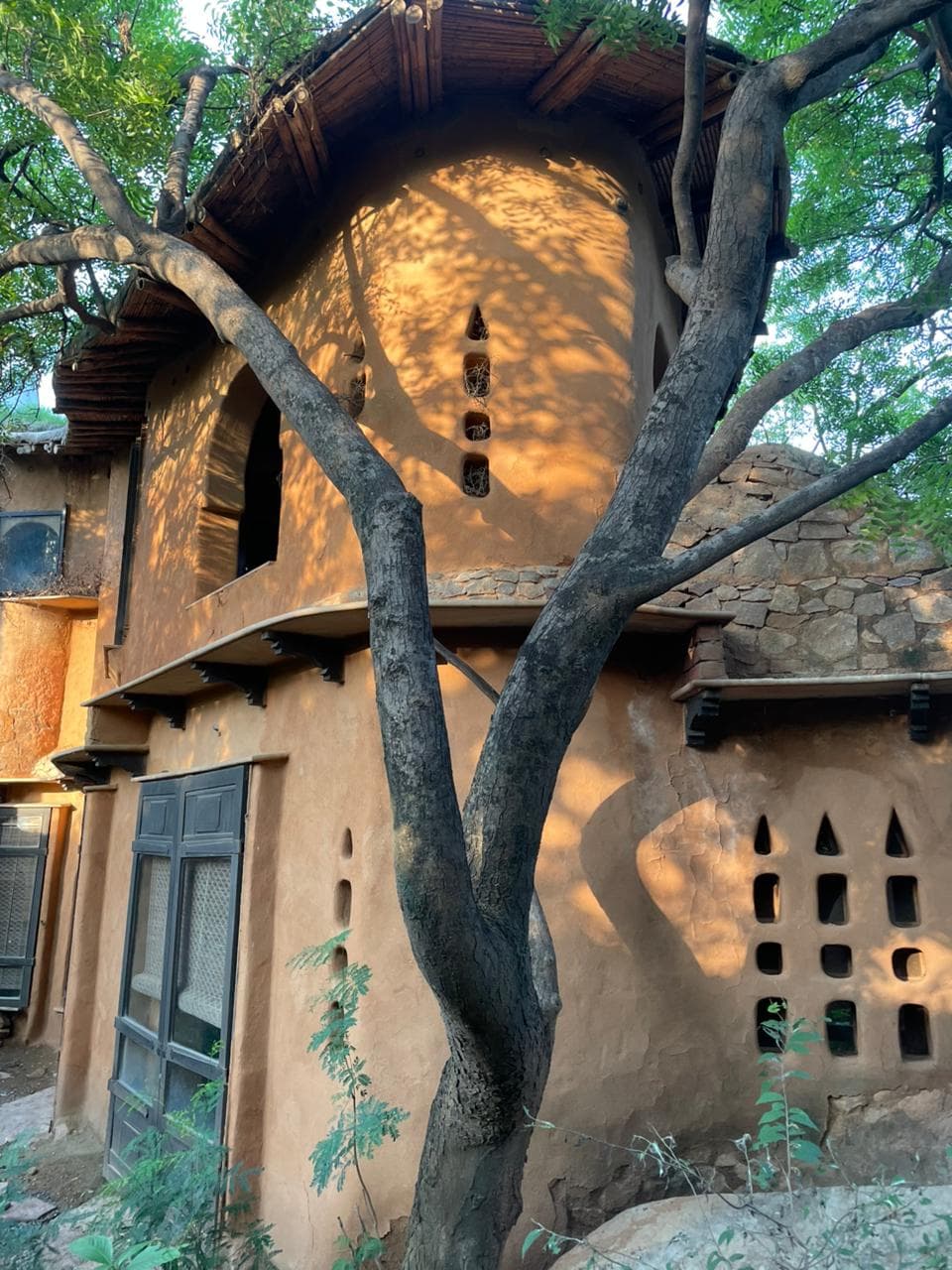 Van Bhoj: The Mud House in Delhi NCR — photo 9