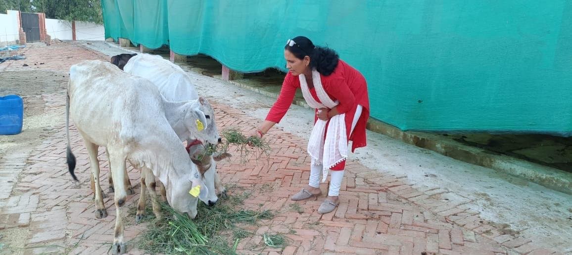 Gaudhuni Foundation