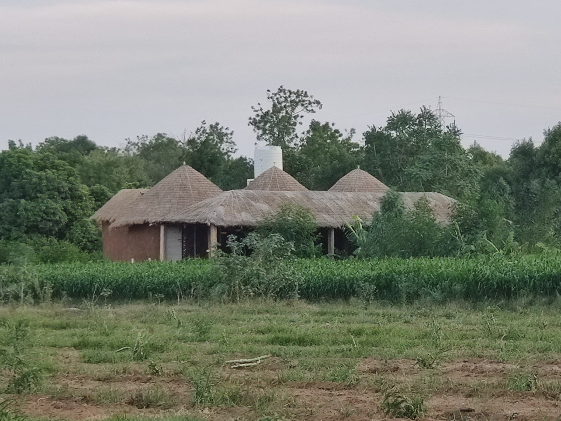 "परम् सत्त्वम्"