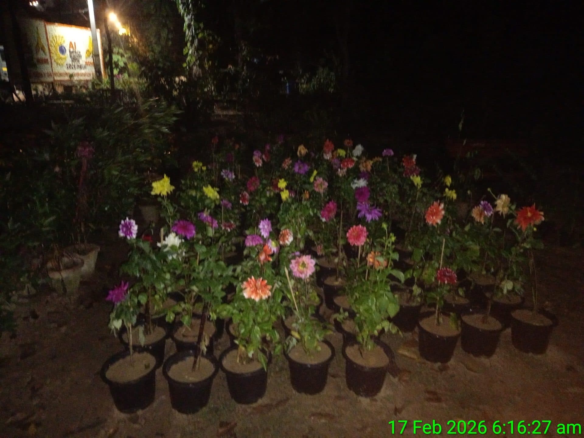 SUMIT NURSERY